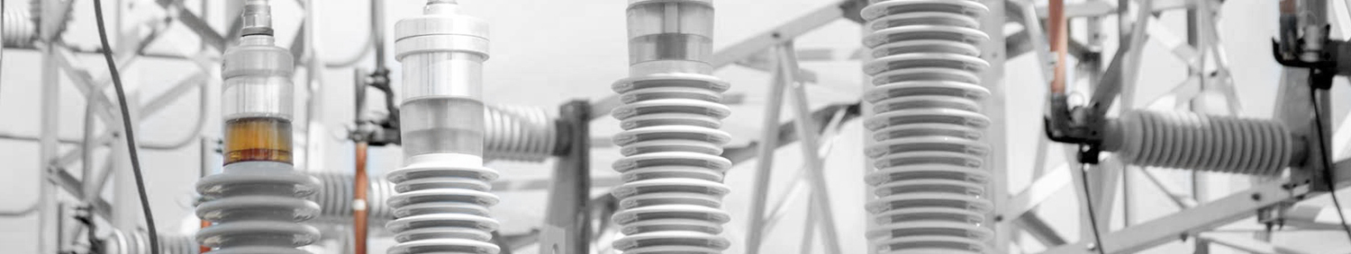 Описание изображения